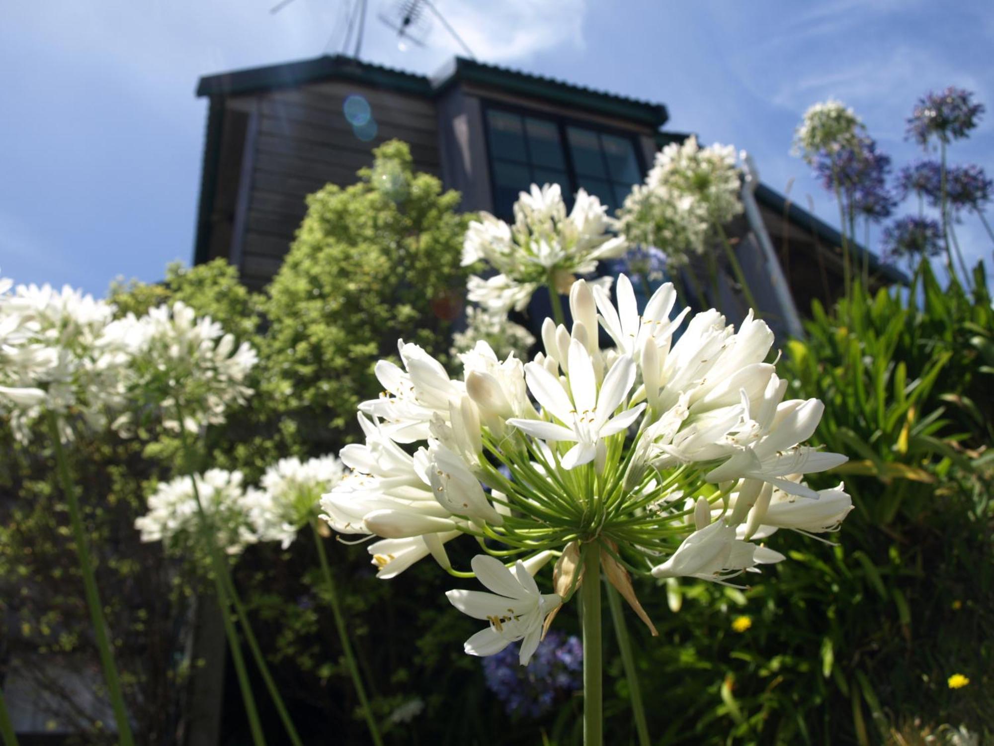 Grafton & Bed & Breakfast 4*